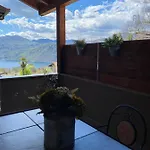 Il Tulipano