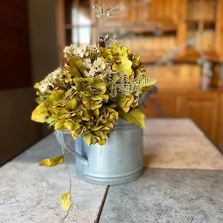 Il Tulipano Tatil Evi