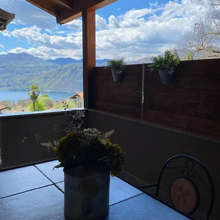 Il Tulipano
