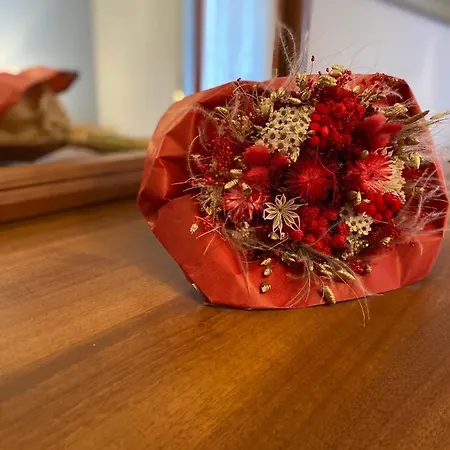 Tatil Evi Il Tulipano *